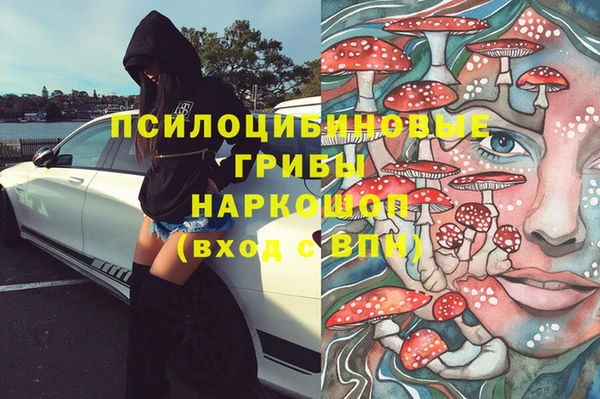 гидропоника Медвежьегорск