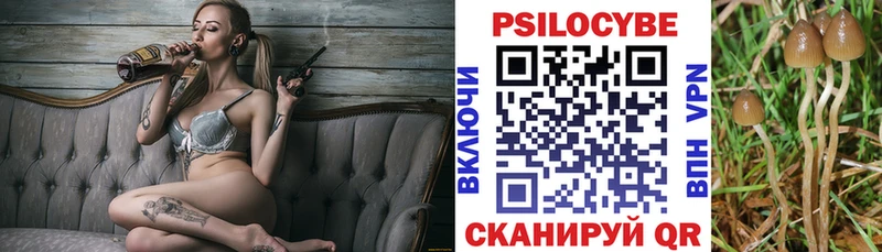 Галлюциногенные грибы ЛСД  Тимашёвск 